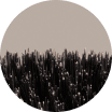 Boar brush