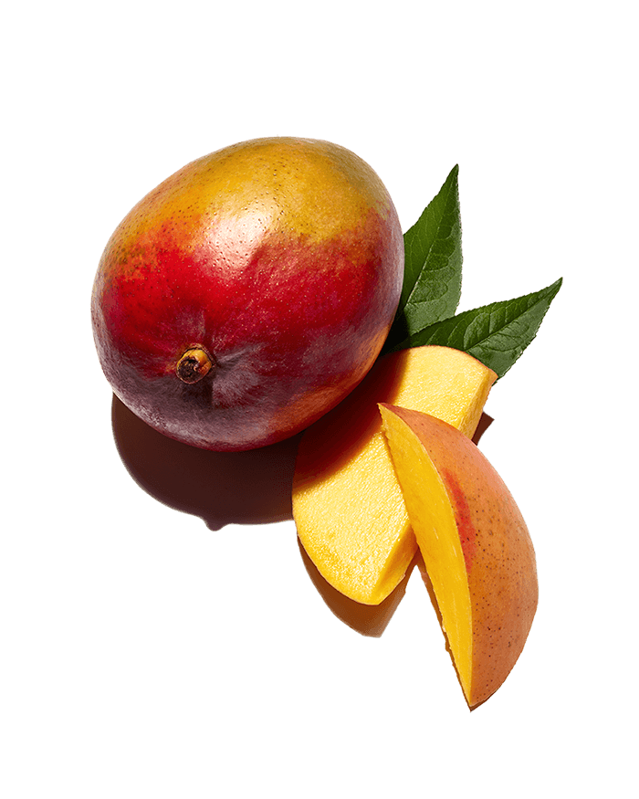 mango-leaf-extract
