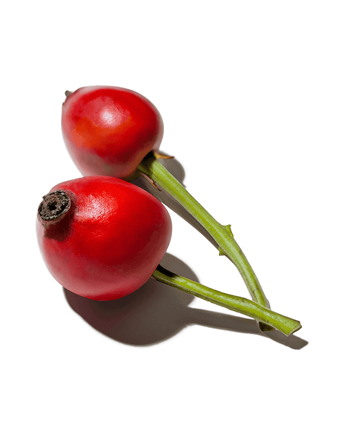 Rosehip Extract